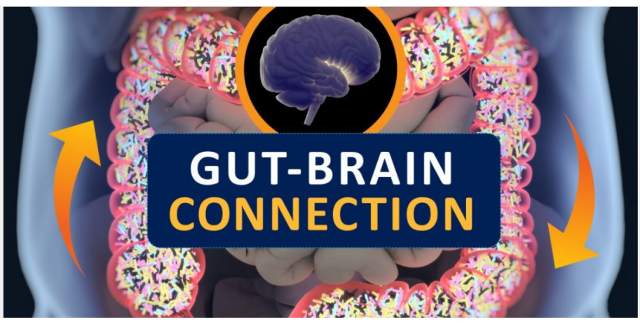 Gut brain connection is real